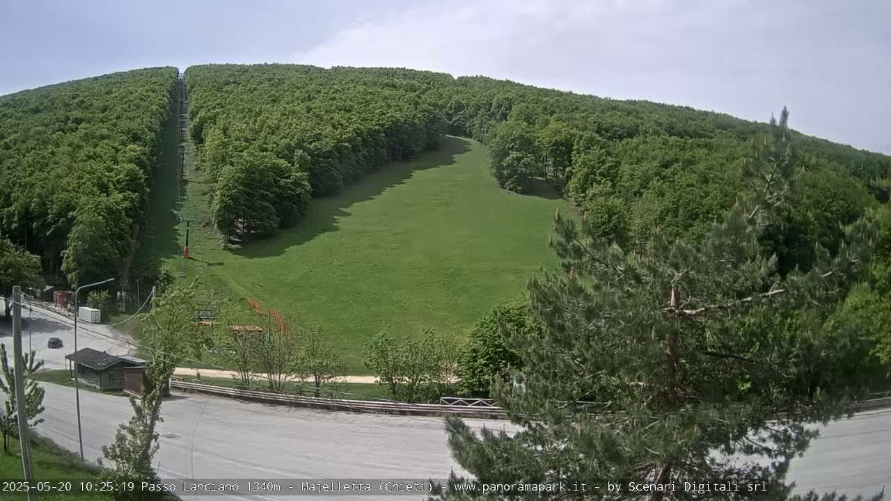A grassy hillside with a chairlift running through a lush green forest on a partly cloudy day.