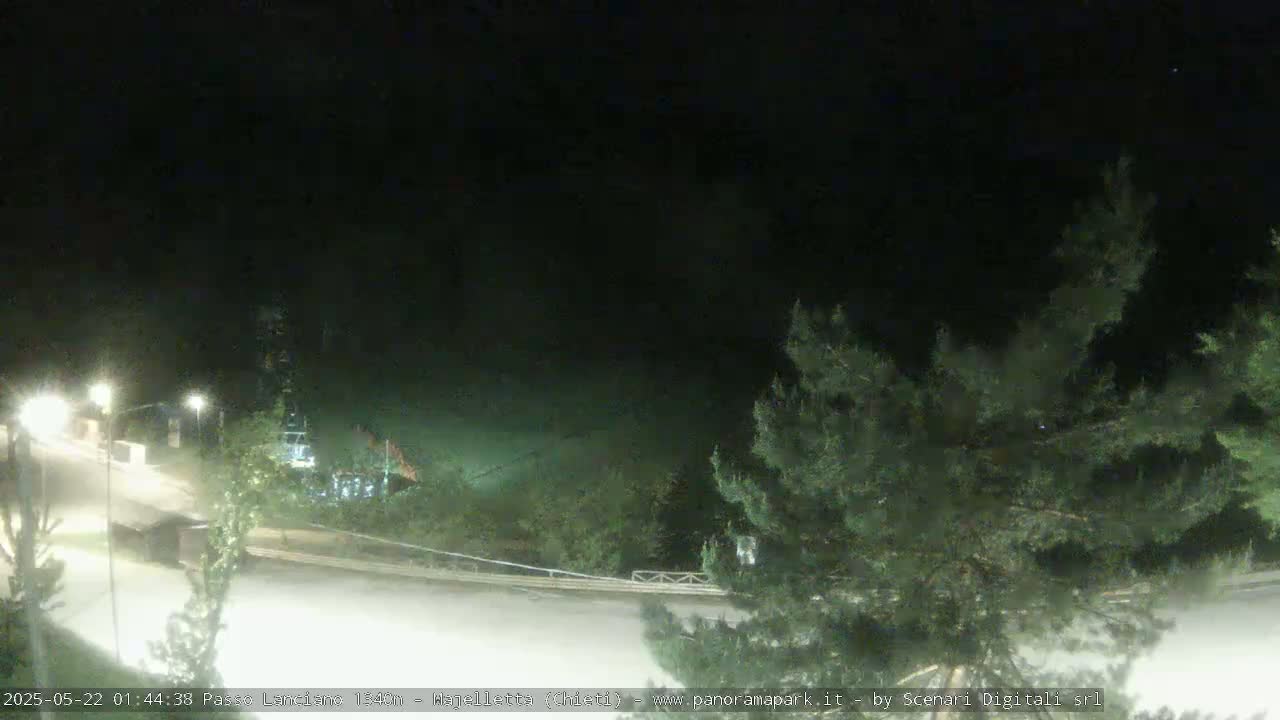 A nighttime view of a road curving through a dark, wooded area, lit by streetlights.
