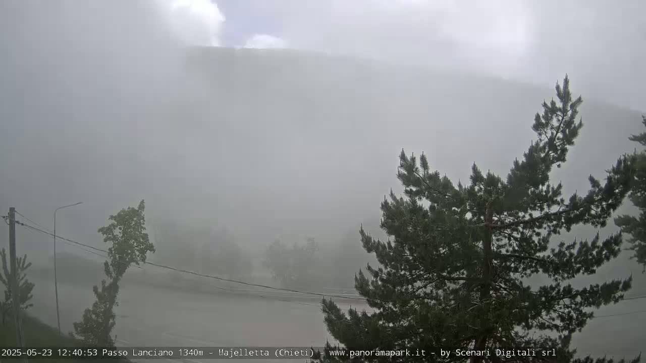 A foggy and rainy scene shows a road winding through a landscape of dark green trees and a hill shrouded in mist.