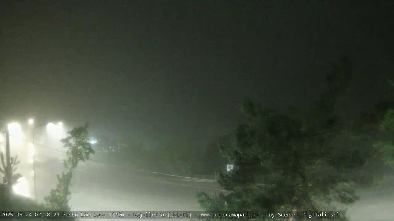 A nighttime view of a road shrouded in heavy fog, with dimly lit streetlights and vegetation visible in the foreground and background.