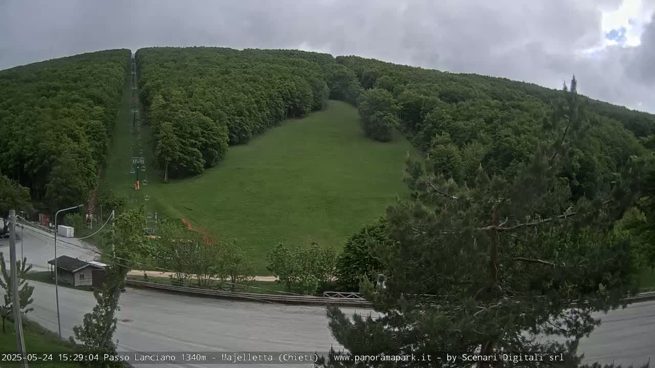 A chairlift ascends a grassy hill surrounded by a lush green forest under an overcast sky.