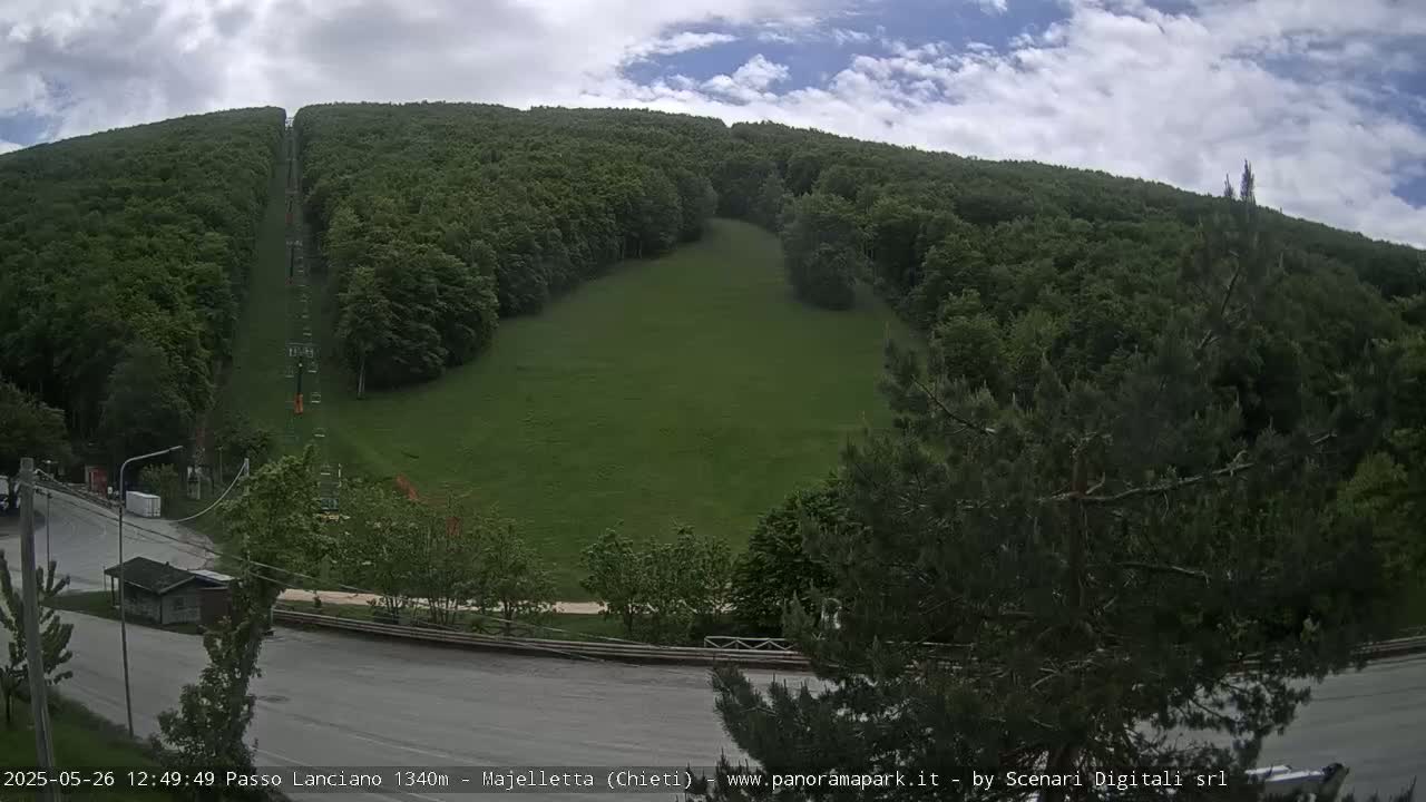 A grassy hillside with a chairlift running up the middle, surrounded by a lush green forest under a partly cloudy sky.