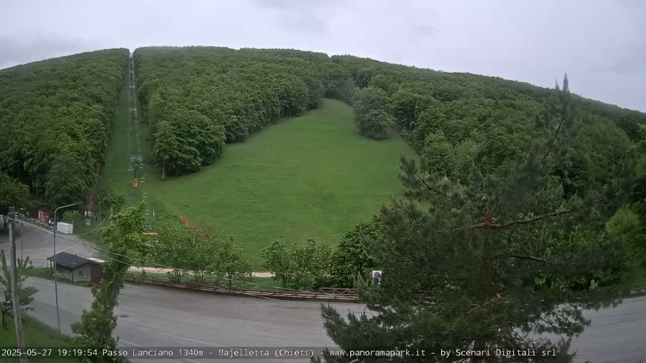 A grassy hillside, partially cleared for a chairlift, is surrounded by lush green forests under an overcast sky.