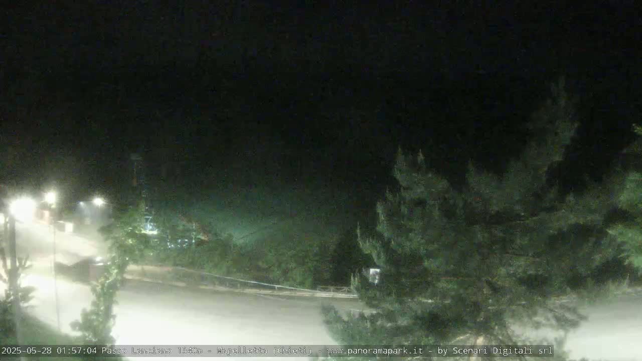 A nighttime, dimly lit road curves through a landscape of dark green trees under a clouded sky.