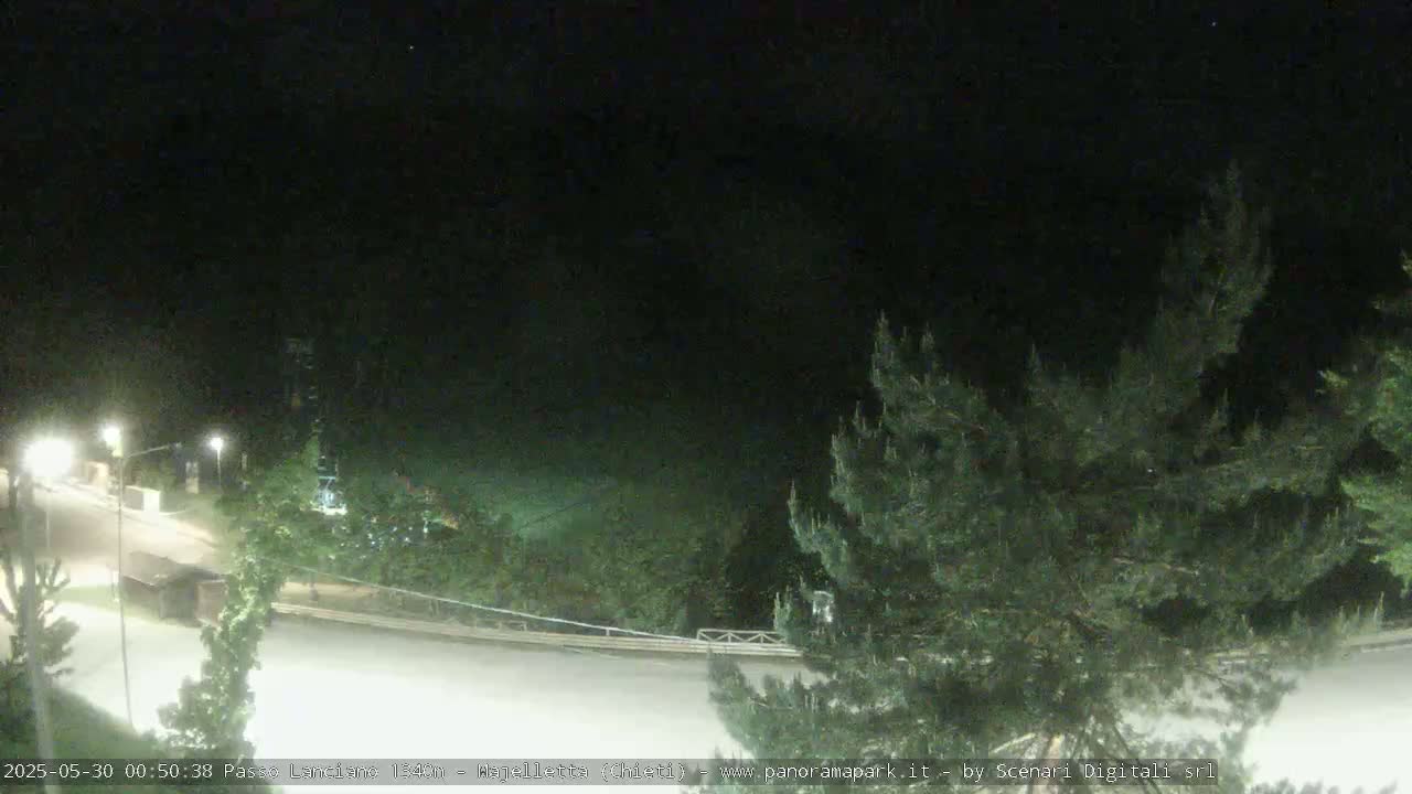 A nighttime, overhead view of a sparsely lit road curving through a dark, tree-lined area.