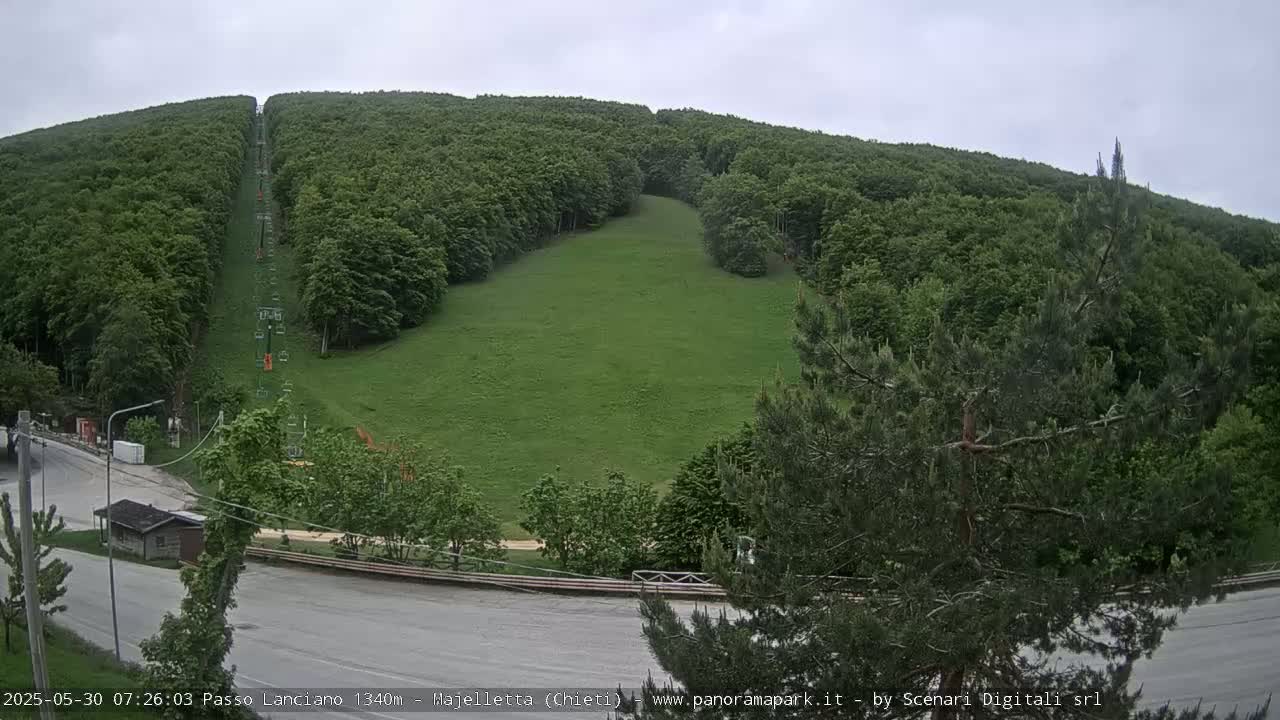 A grassy hillside with a chairlift running up through a dense green forest under an overcast sky.