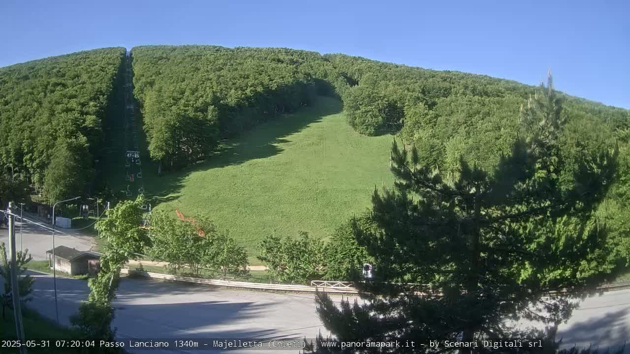 A grassy hillside, sparsely dotted with trees, slopes down to a road bordered by more trees under a clear blue sky.