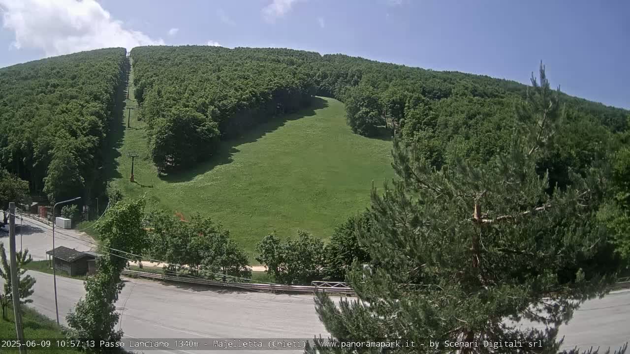 A grassy ski slope on a hill surrounded by lush green forests under a mostly sunny sky.