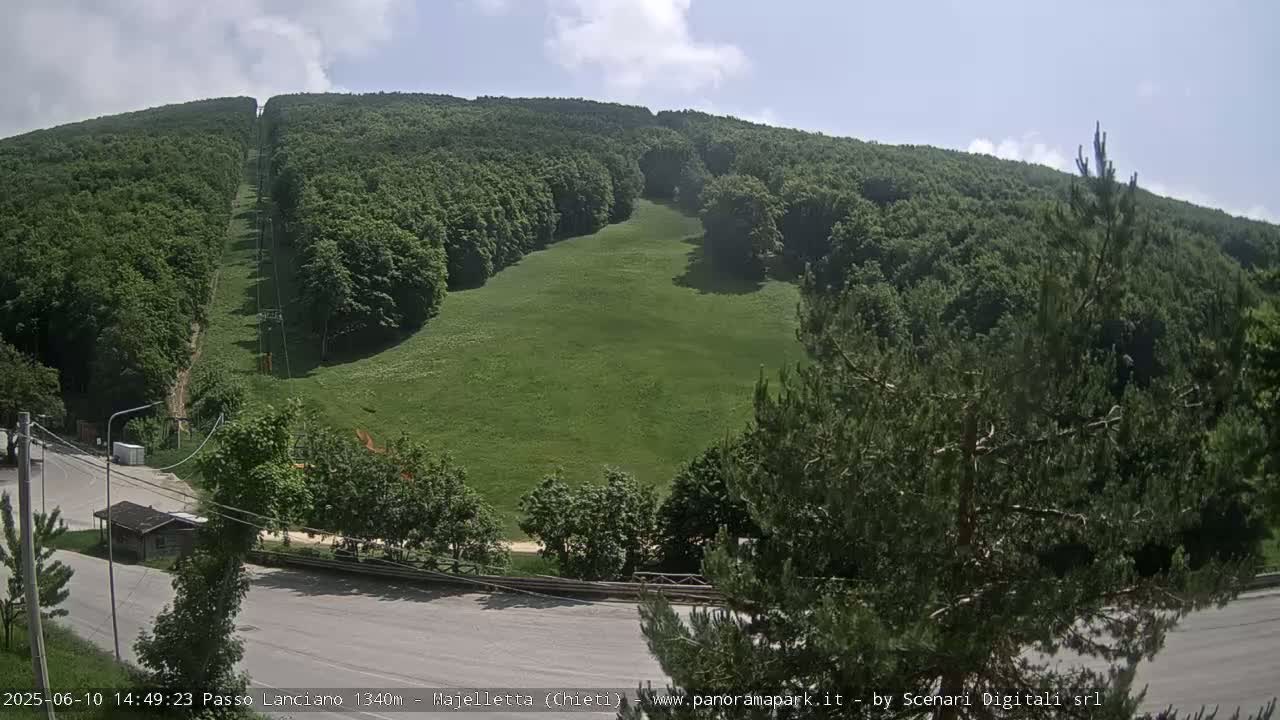 A grassy hillside with a chairlift running up its center is surrounded by a lush green forest under a mostly sunny sky.