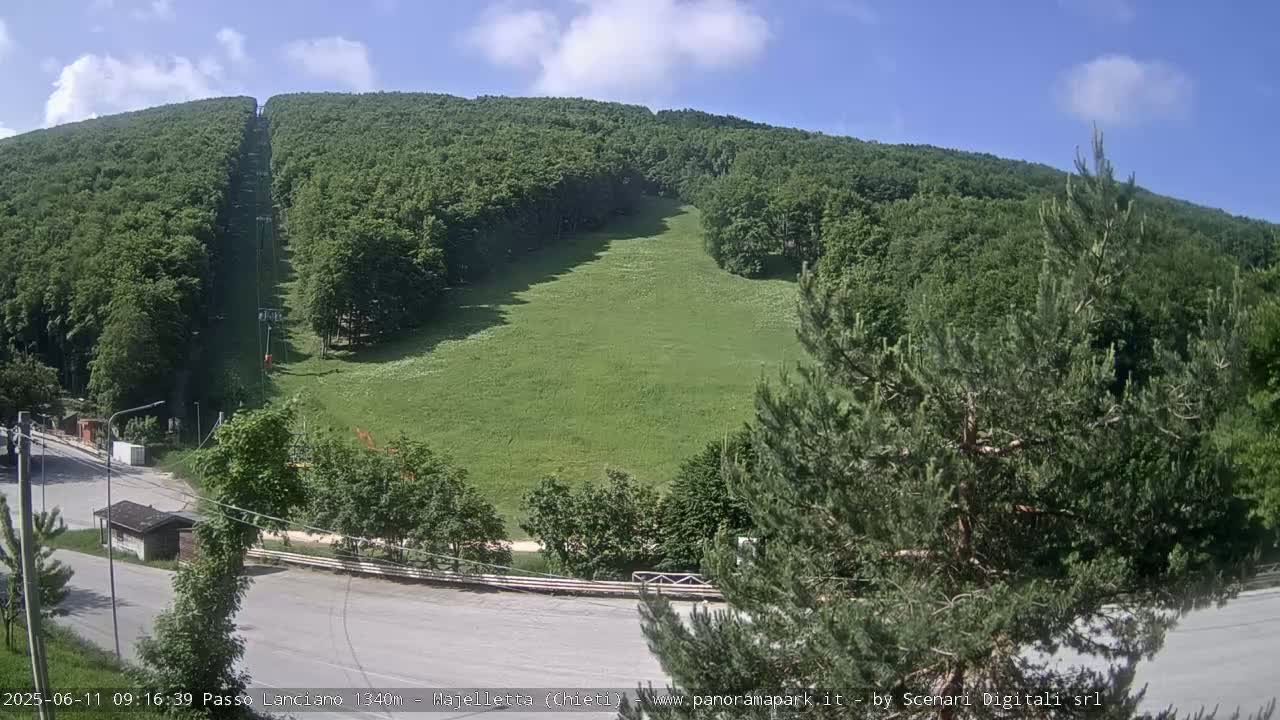 A grassy hillside with a chairlift running through a lush green forest on a sunny day.