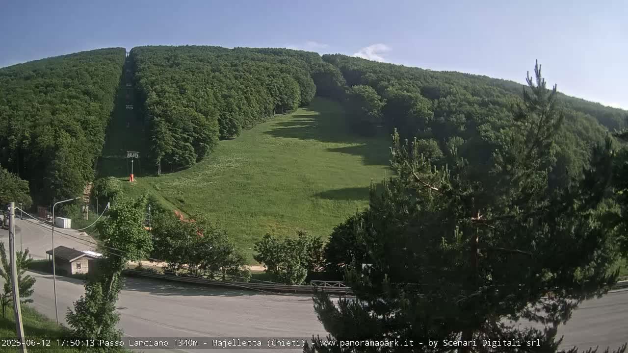 A grassy hillside, flanked by lush green forests, is partially visible under a clear, sunny sky.