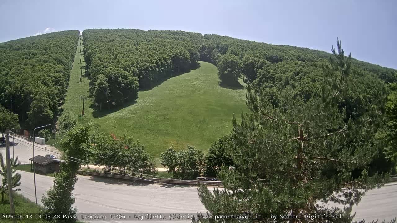 A grassy hillside, partially forested, with a chairlift visible on a sunny day.