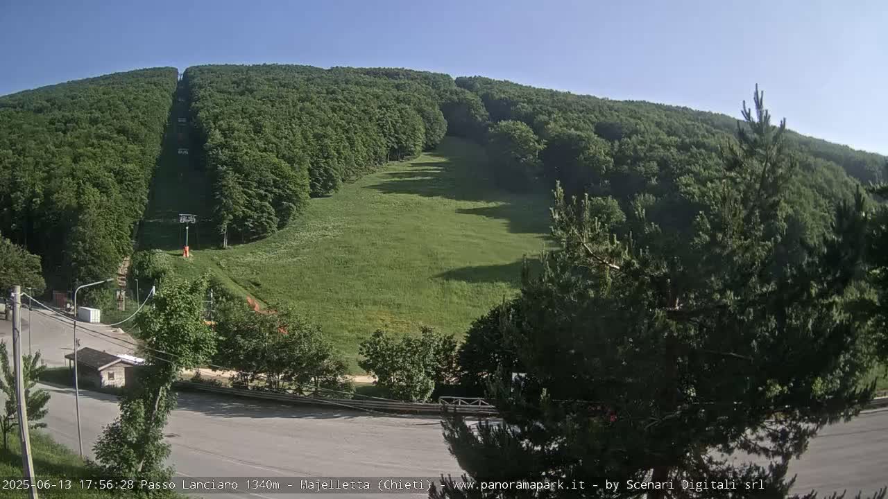 A grassy hillside, partially forested, with a chairlift visible under a clear blue sky.