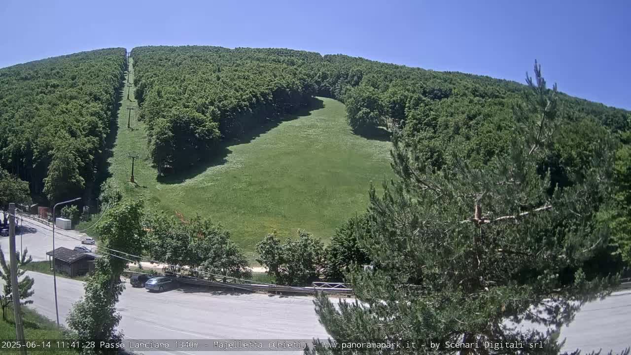 A grassy hillside, part of a ski slope in the summer, is surrounded by lush green forests under a clear blue sky.