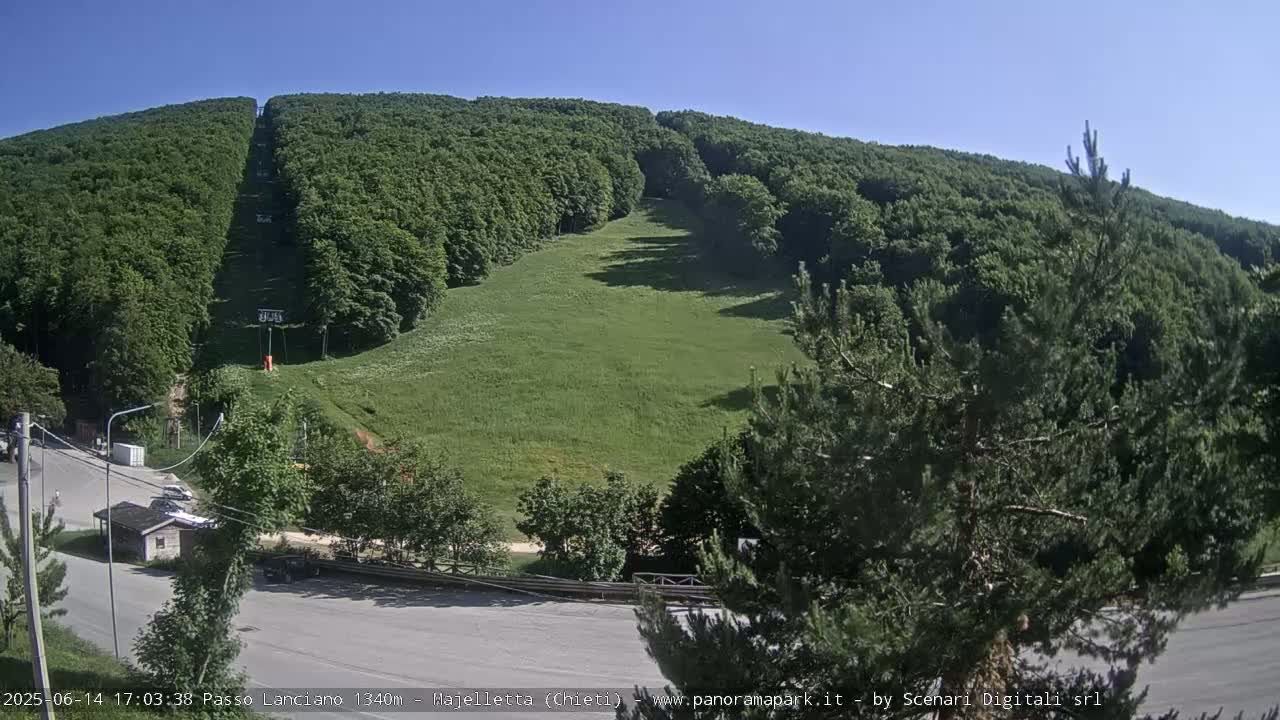 A grassy hillside, mostly covered in a dense forest, with a chairlift visible, is seen on a sunny day.