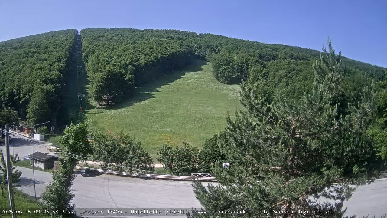 A chairlift ascends a grassy hillside surrounded by a lush green forest under a clear blue sky.