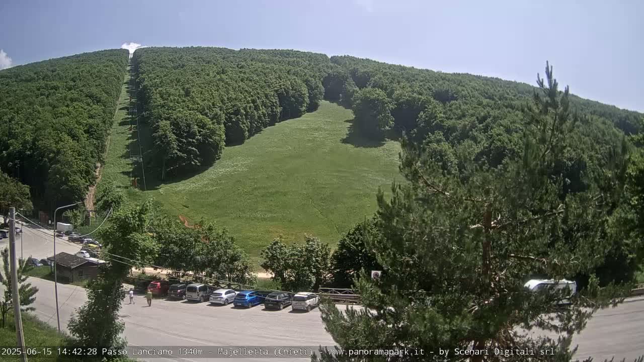 A grassy hillside with a chairlift ascending through a lush green forest on a clear, sunny day, with a parking lot and several cars visible at the base.