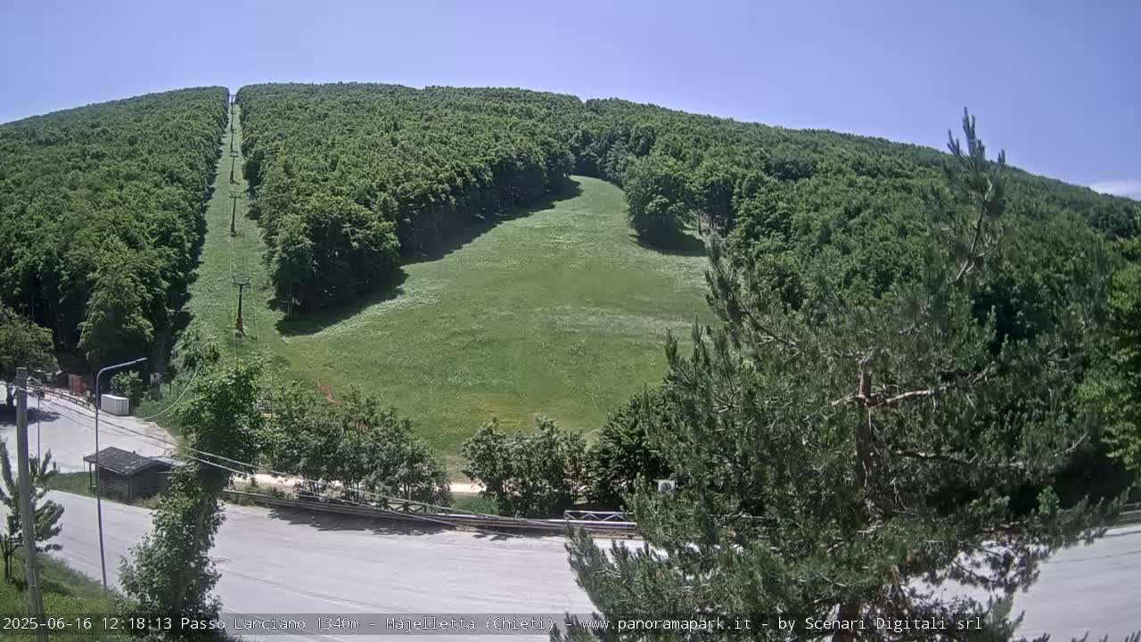 A grassy hillside with a chairlift running through a lush green forest on a sunny day.