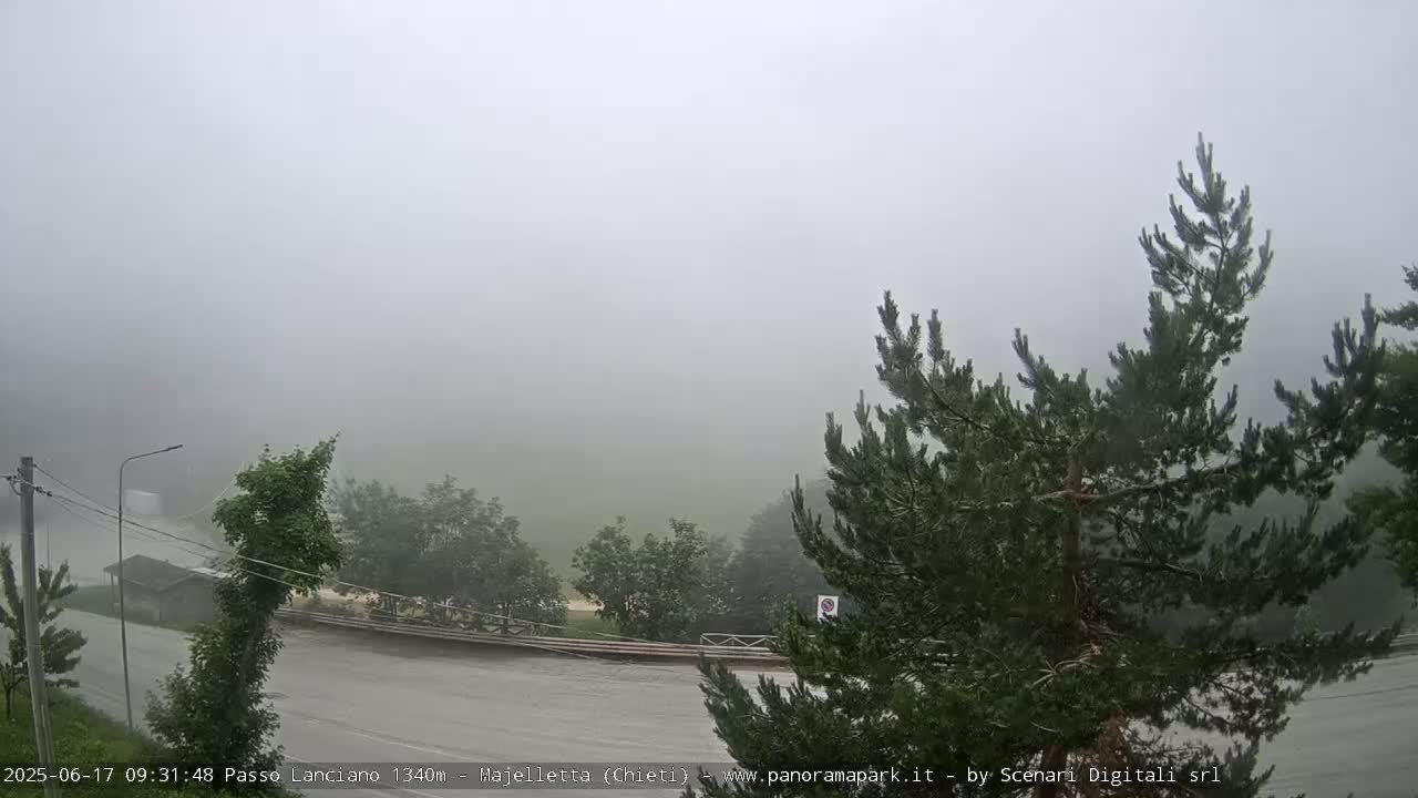 A foggy mountain road winds through a landscape of green trees and shrubs.