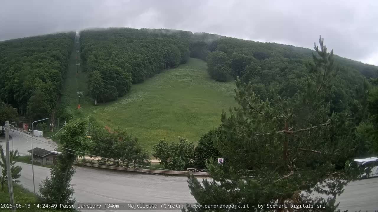 A chairlift ascends a grassy hillside covered in a lush green forest under an overcast sky.