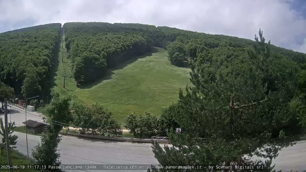 A grassy hillside with a chairlift running through it is surrounded by a lush green forest under a partly cloudy sky.