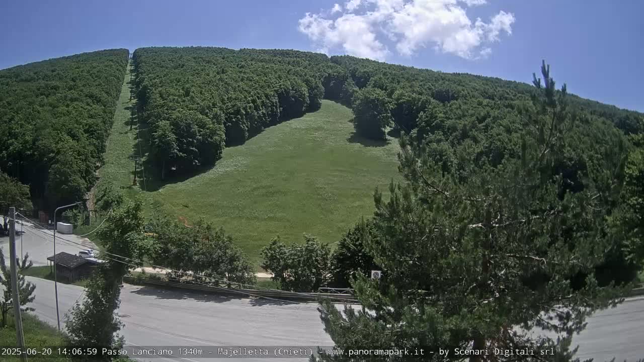 A grassy clearing on a hillside, surrounded by lush green forests, under a mostly sunny sky.