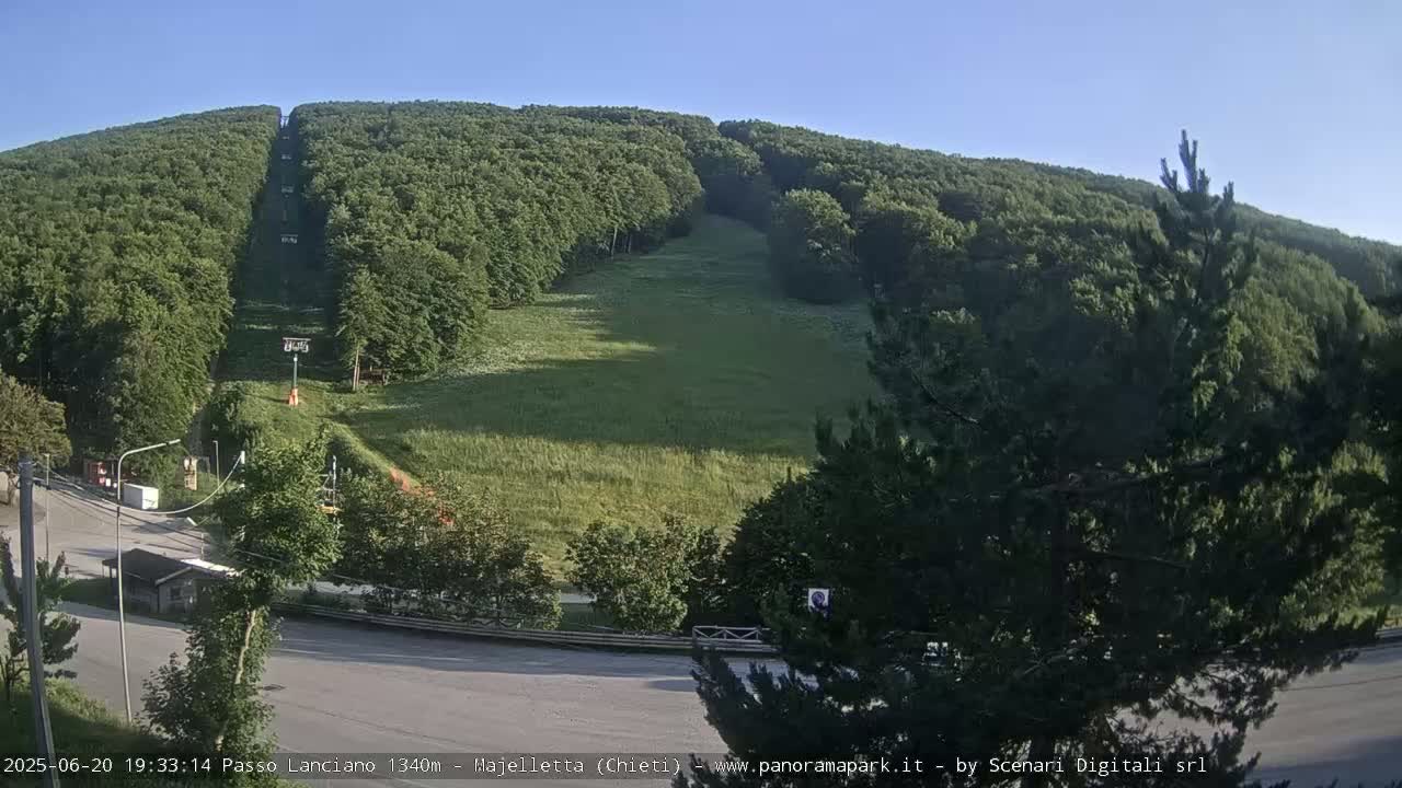 A chairlift ascends a hill covered in lush green trees and grass under a clear, sunny sky.