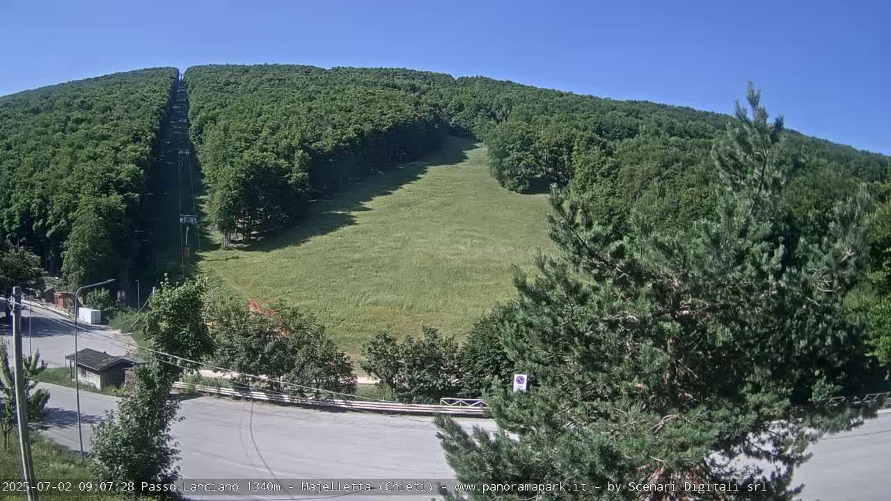 A grassy hillside, sparsely treed, with a chairlift ascending through a dense forest under a clear blue sky.