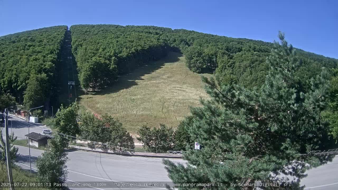 A grassy hillside, partially forested, with a chairlift visible, is viewed from a roadside under a clear blue sky.