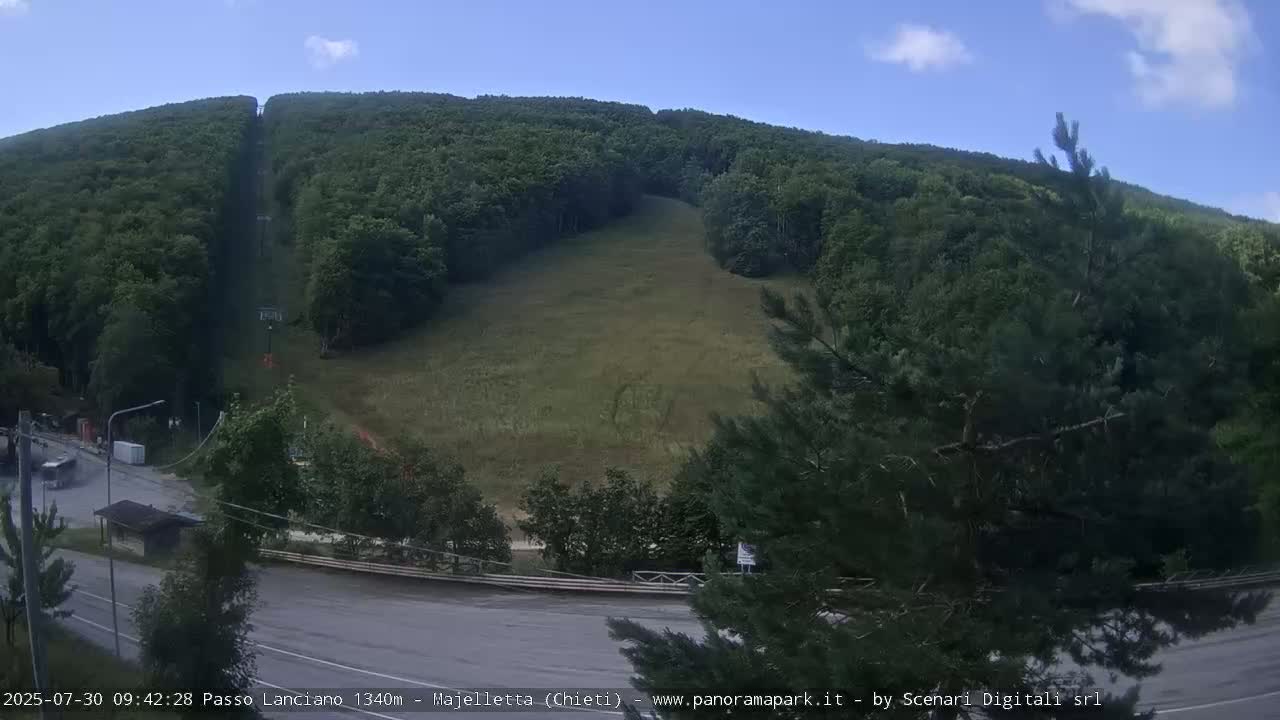 A mostly sunny view of a grassy ski slope on a mountainside, with a road and trees in the foreground.