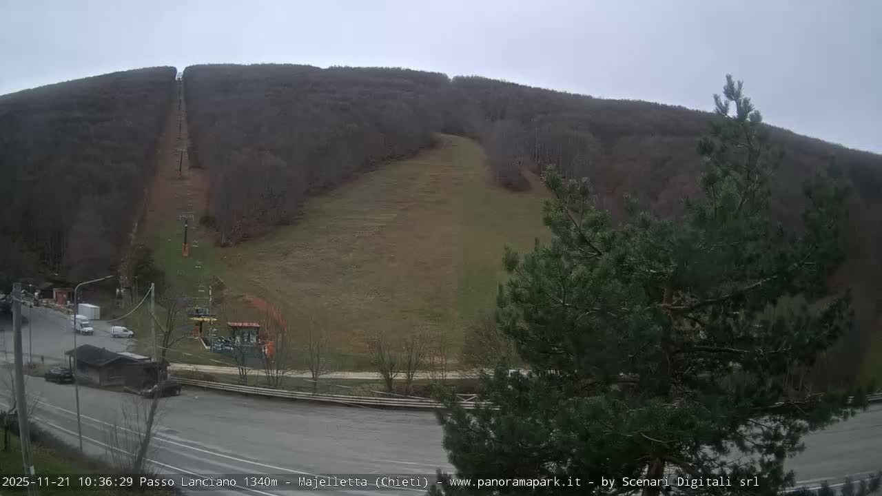 An overcast day reveals a grassy ski slope with a visible ski lift ascending a barren, forested mountain, bordered by a road with a few vehicles and an evergreen tree in the foreground.
