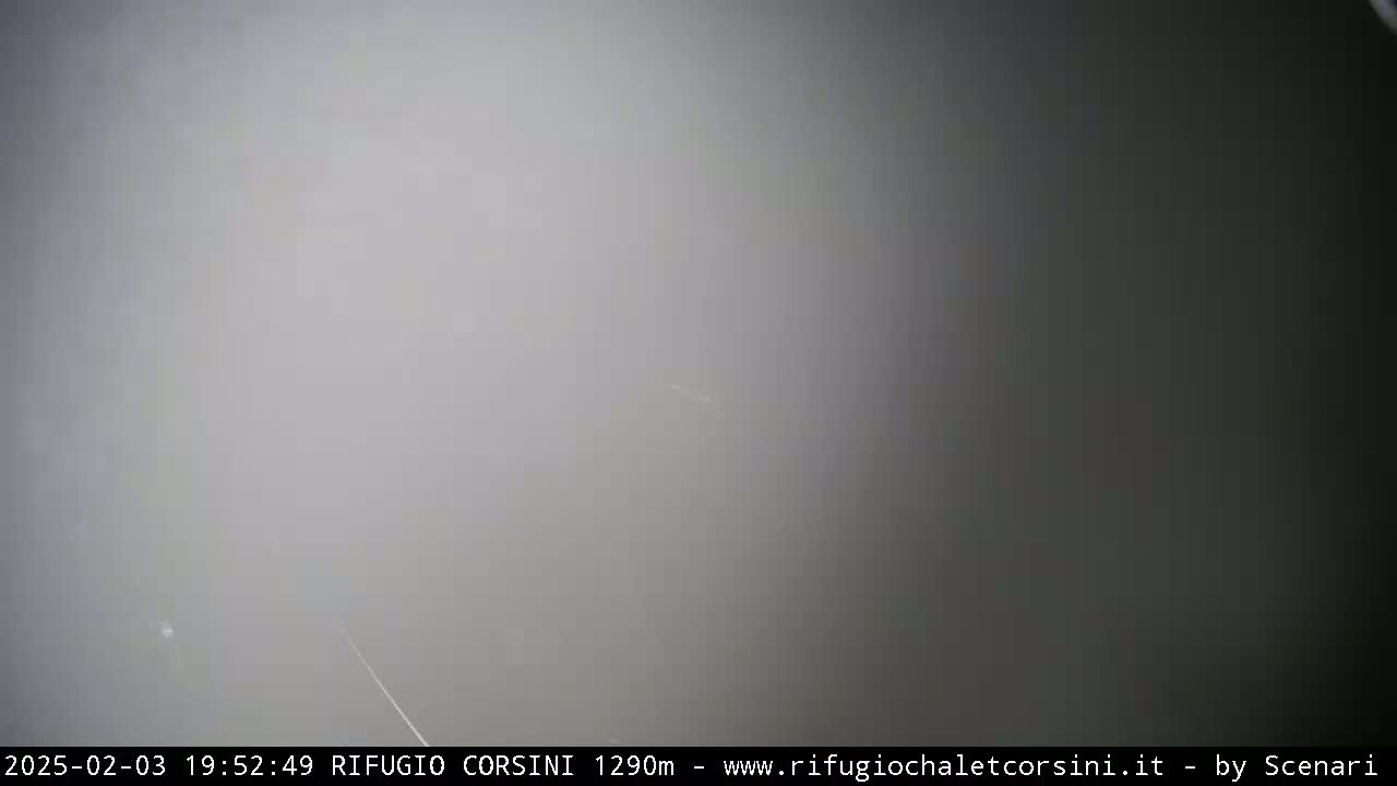 A thick fog obscures the view of an outdoor scene.