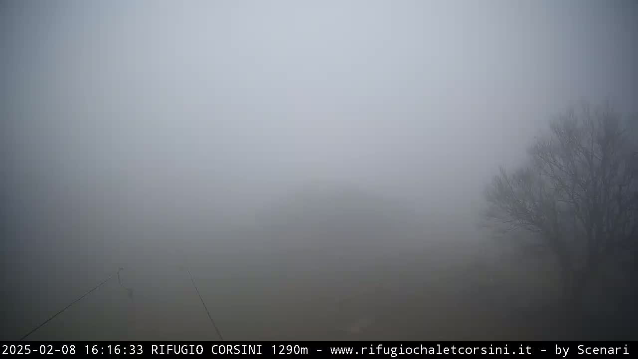 A thick fog obscures the view of a barren landscape with a leafless tree to the right.