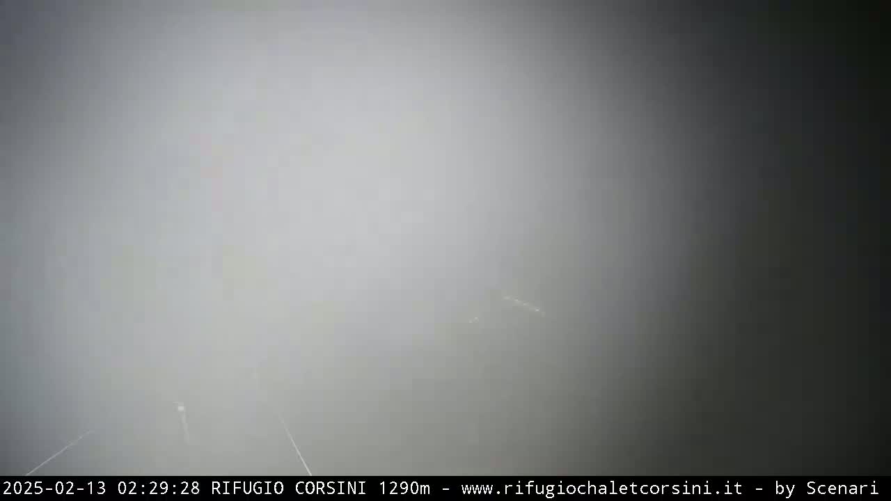 A very foggy outdoor scene is visible, with low visibility obscuring any details beyond a short distance.