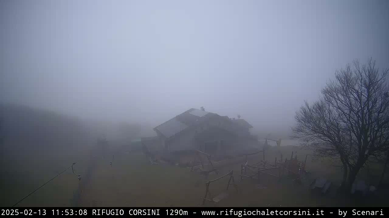 A large building is visible through a dense fog, along with a bare tree and some playground equipment.