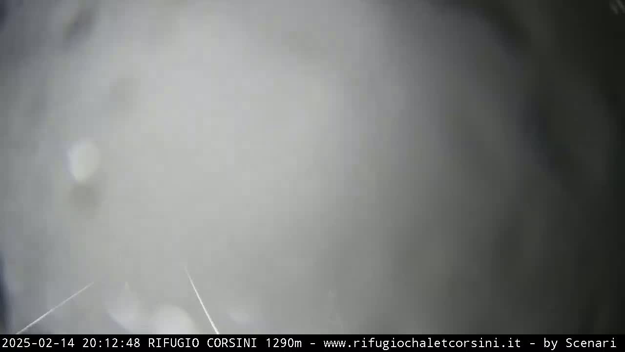A blurry, gray scene shows heavy snow or fog obscuring visibility.