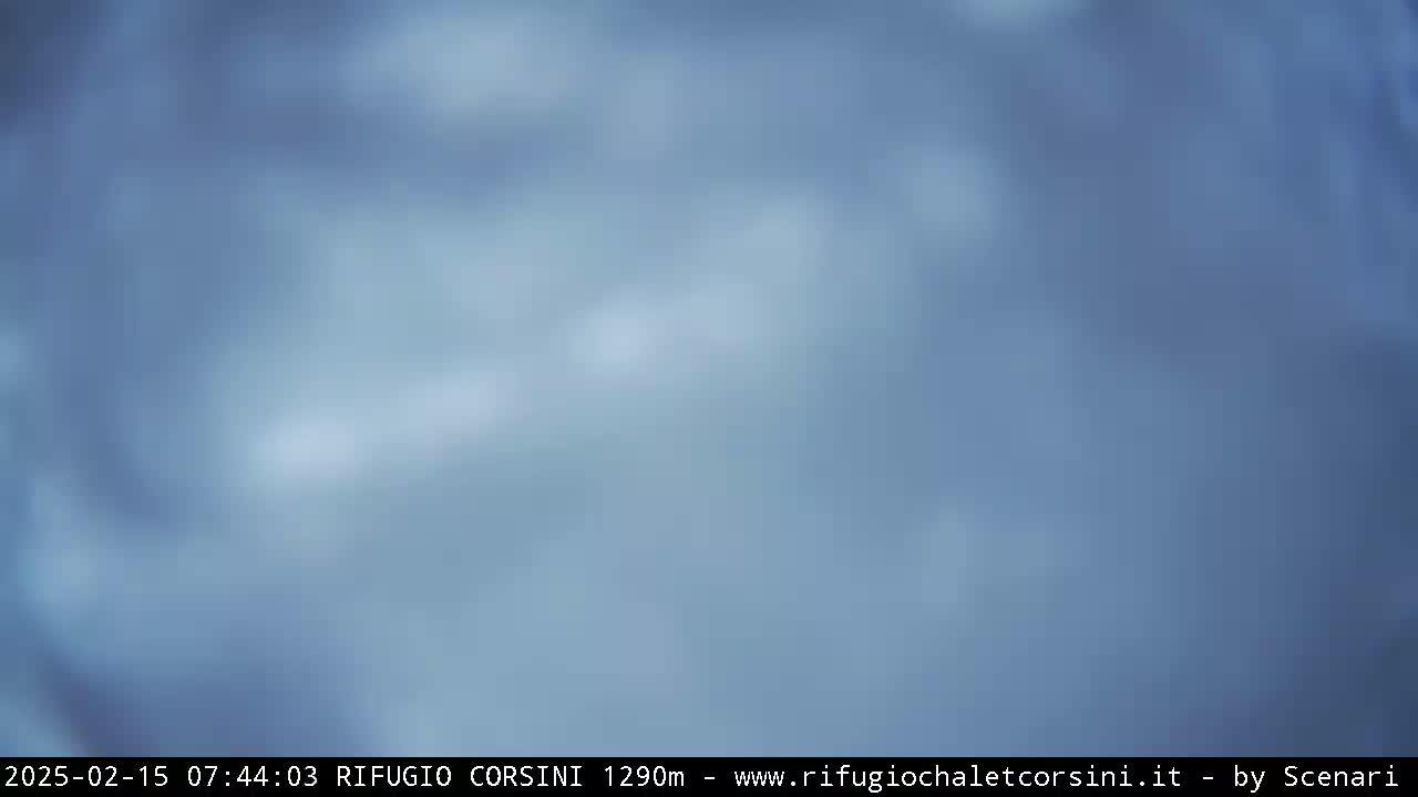 A blurry, overcast sky is shown.