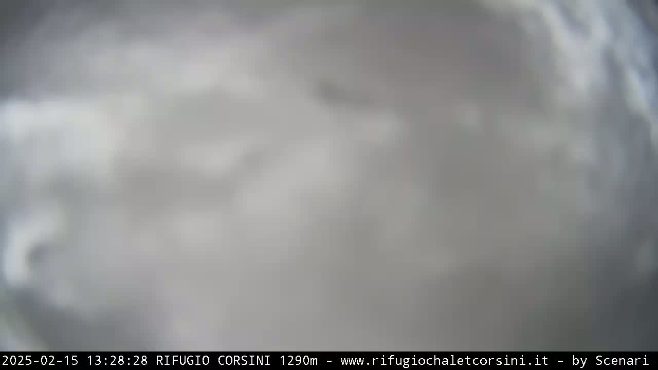 A blurry, overcast view of a mostly featureless gray landscape.