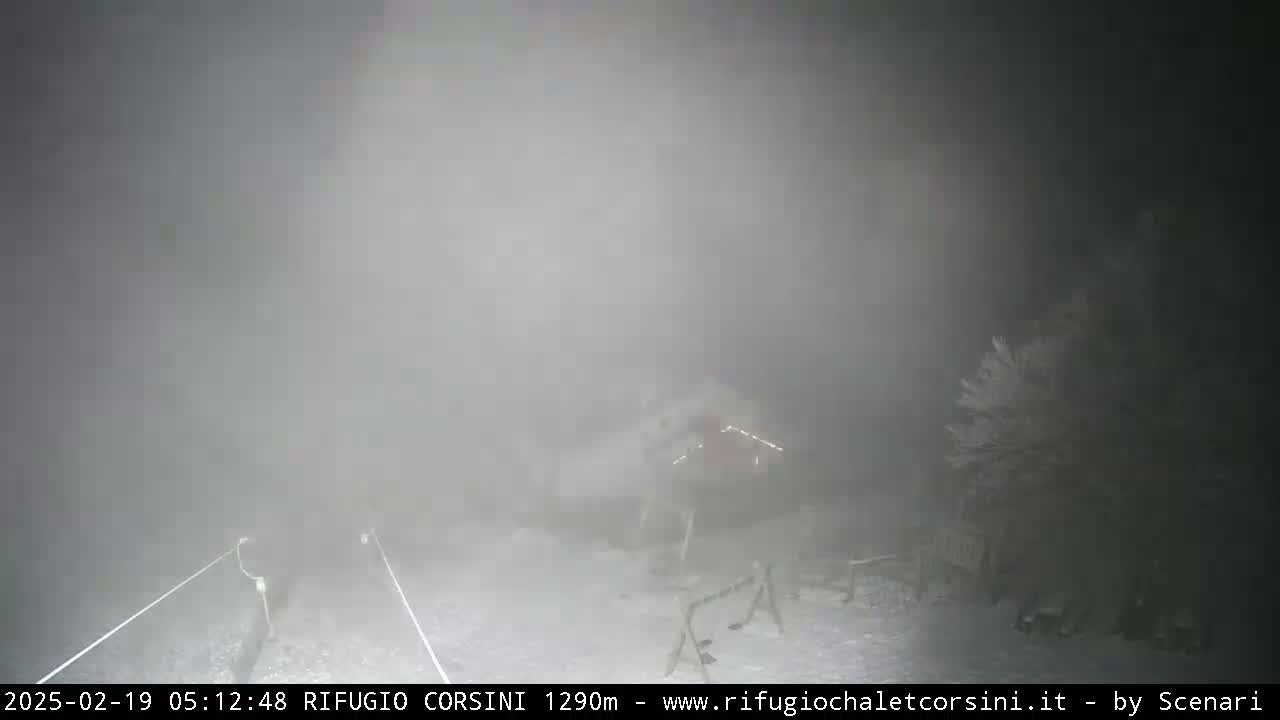 A snow-covered landscape is barely visible through a thick fog at night.