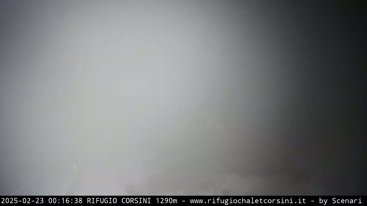 A very dense fog obscures visibility outdoors.