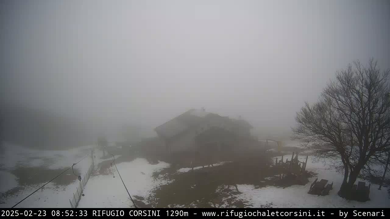 A snow-covered landscape is shrouded in thick fog, partially obscuring a building and a bare tree.