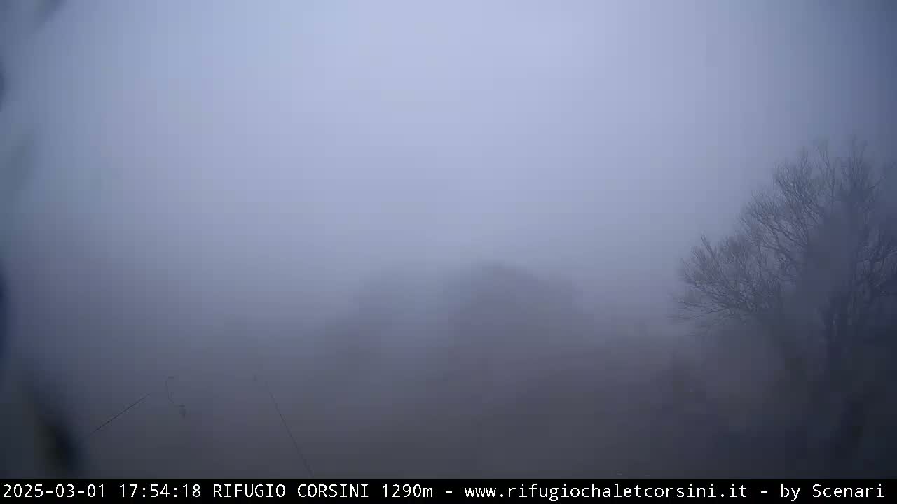 A thick fog obscures the view of a landscape featuring bare trees and indistinct structures in the distance.