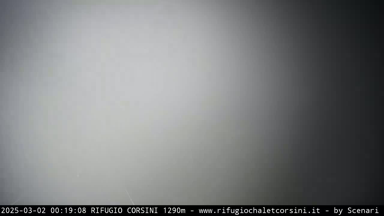 A thick fog obscures all but a featureless gray expanse.
