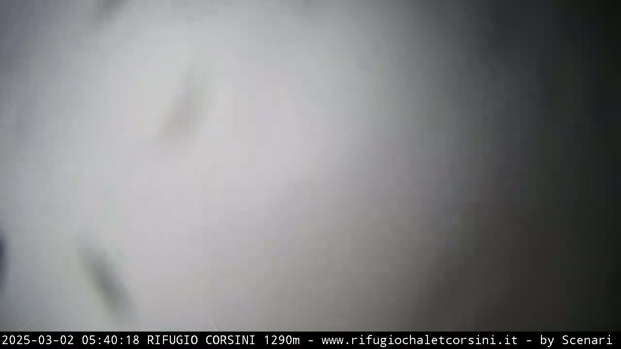 A blurry, gray image shows a foggy or overcast outdoor scene.