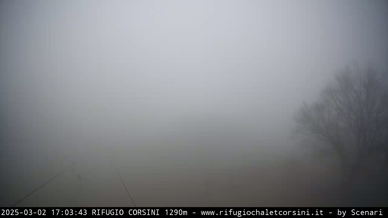 A foggy landscape shows a barely visible tree to the right and a faint suggestion of a path or road in the thick fog.