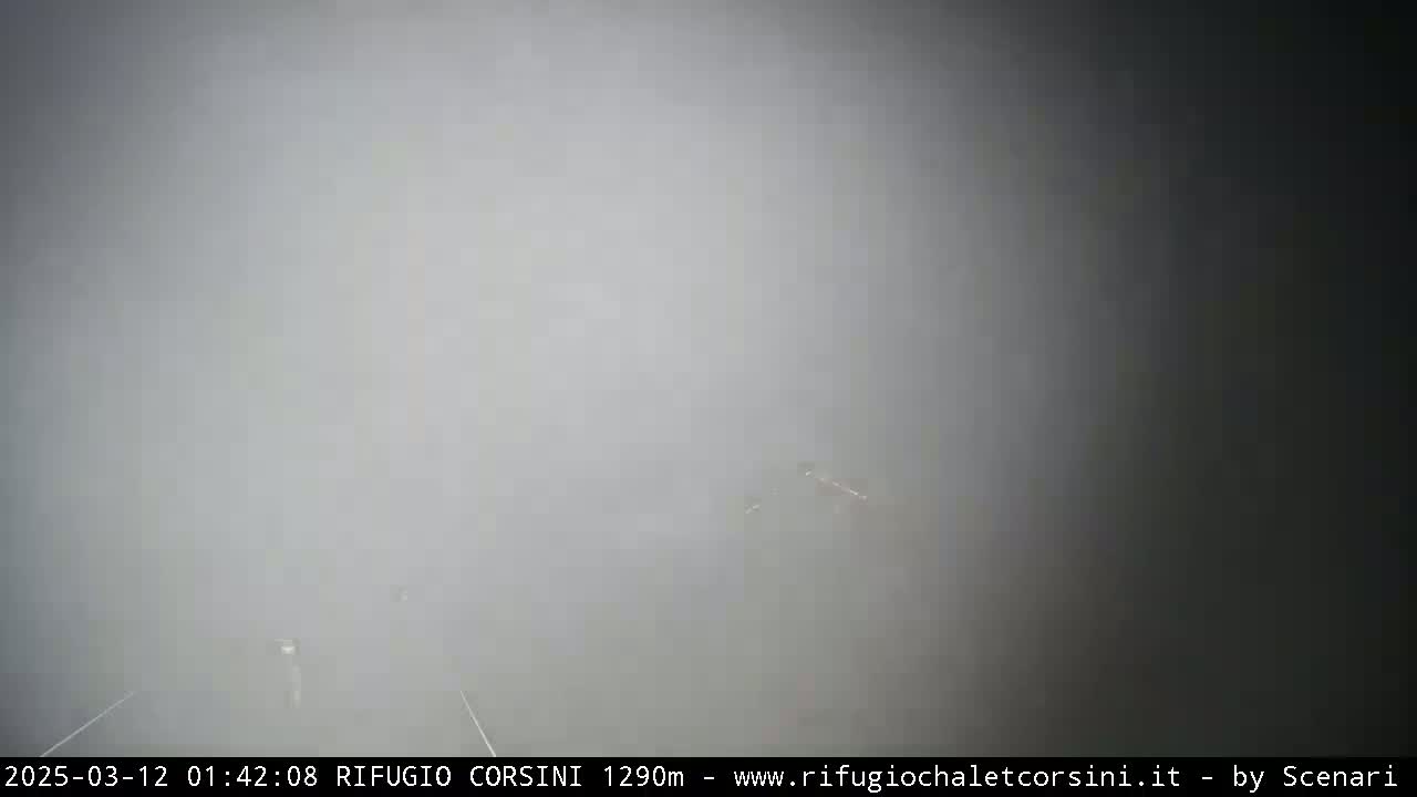 A very foggy scene shows a dimly lit road stretching into the distance.