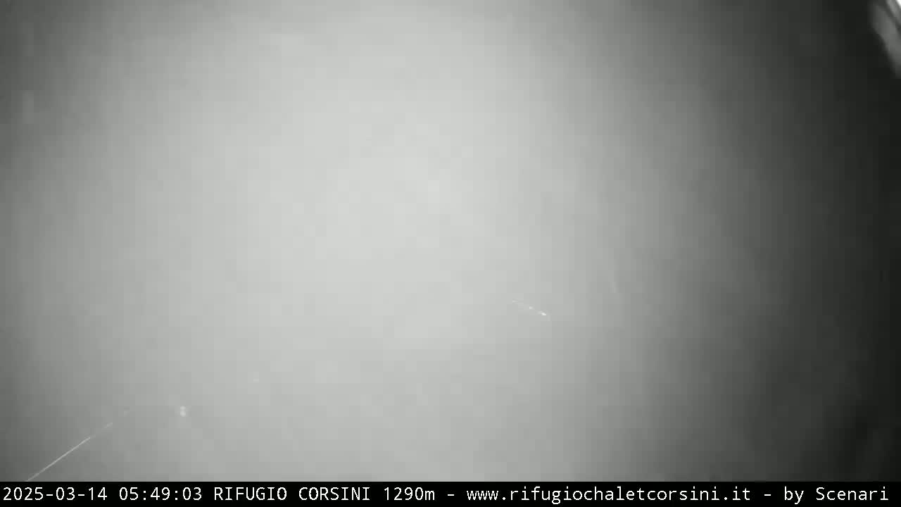 A blurry, gray image shows a foggy or hazy outdoor scene with low visibility.