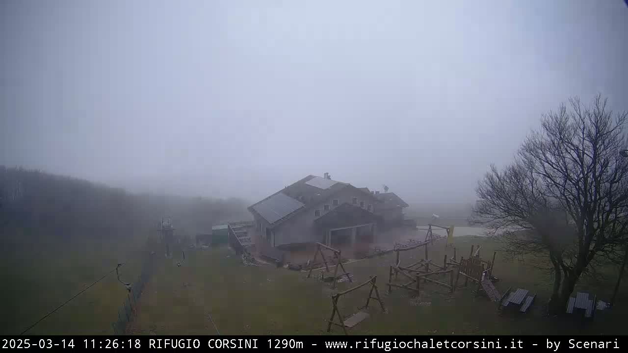 A foggy, overcast day reveals a building with solar panels and a playground in a sparsely treed area.