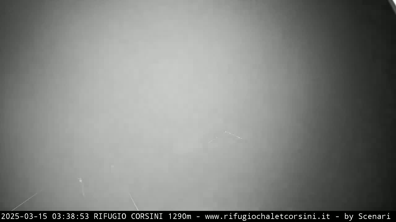 A blurry, gray image shows a foggy or snowy outdoor scene with very low visibility.