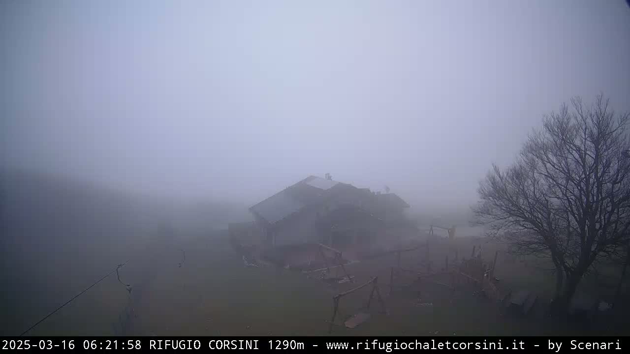 A house and a bare tree are barely visible through a thick fog.
